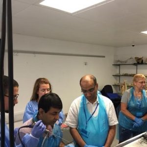 Dr Sandeep was honoured to be invited as a faculty member to demonstrate his techniques of Endoscopic Sinus Surgery at the Wessex FESS Course in Winchester, UK. His participation showcased his proficiency in this surgical technique and his commitment to advancing the field of endoscopic sinus surgery through education and collaboration.